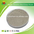 Best Selling Organic Dandelion Root Extract Powder